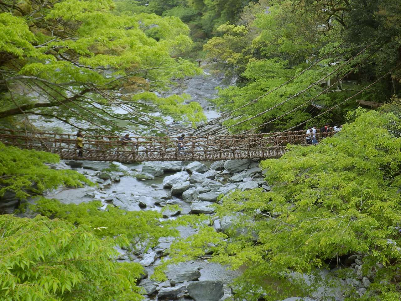 祖谷のかずら橋