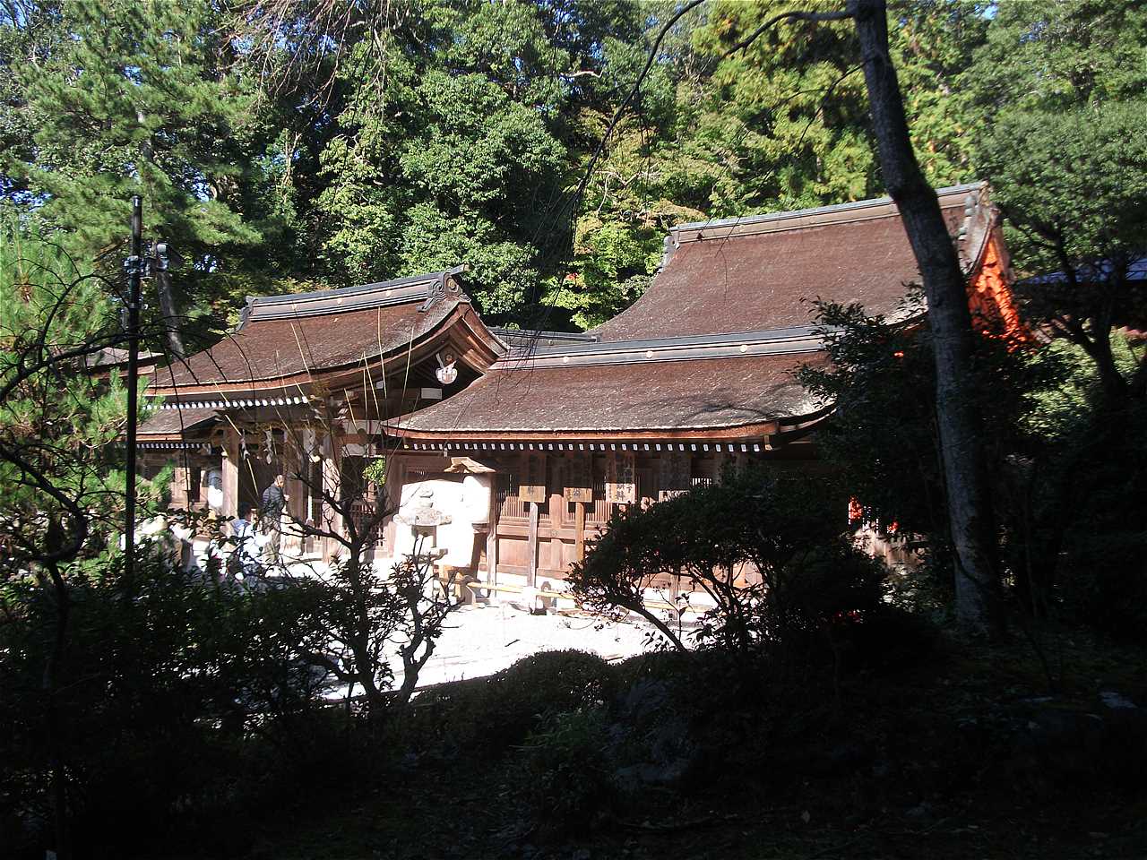 出雲大神宮