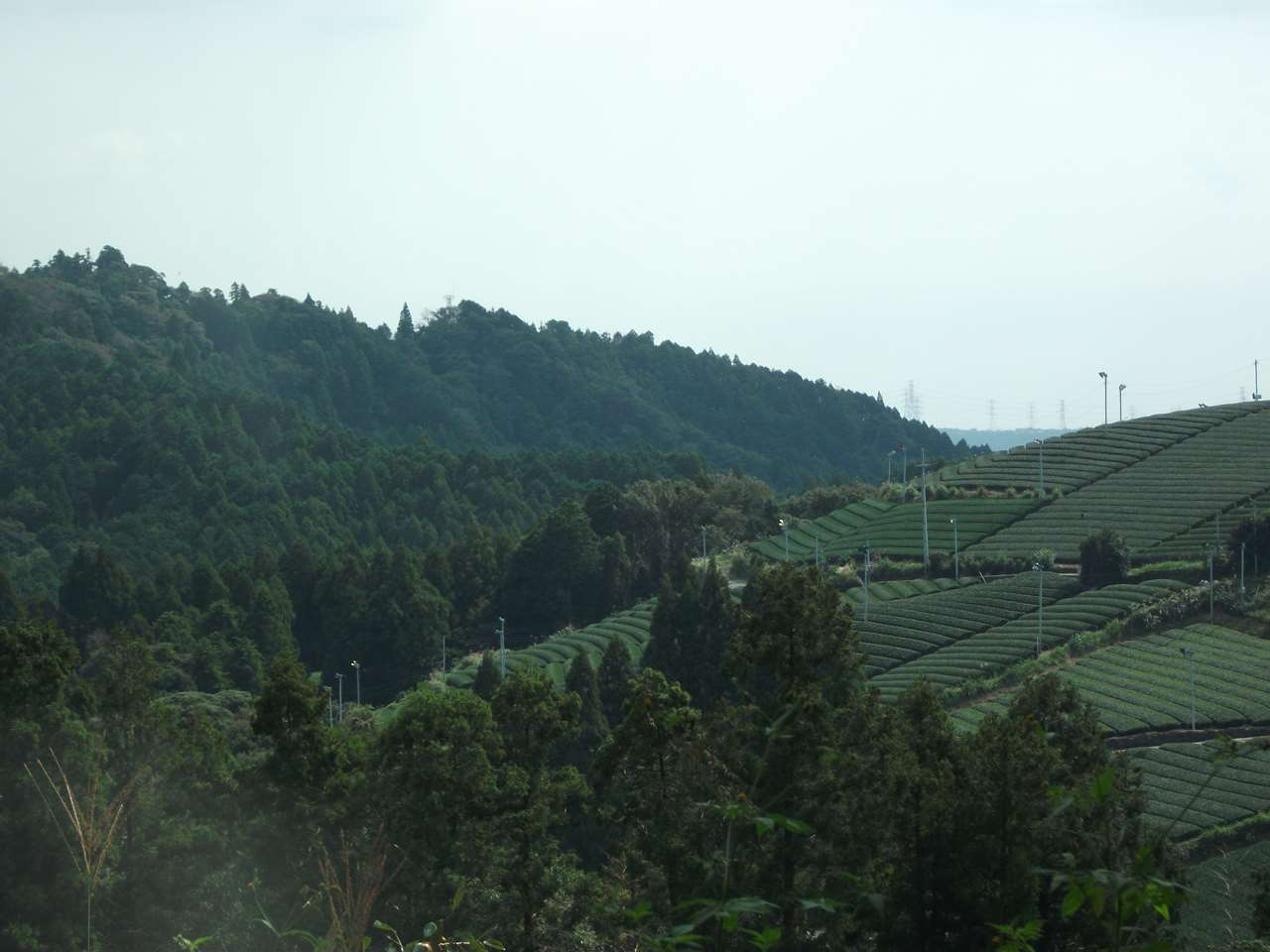 掛川市