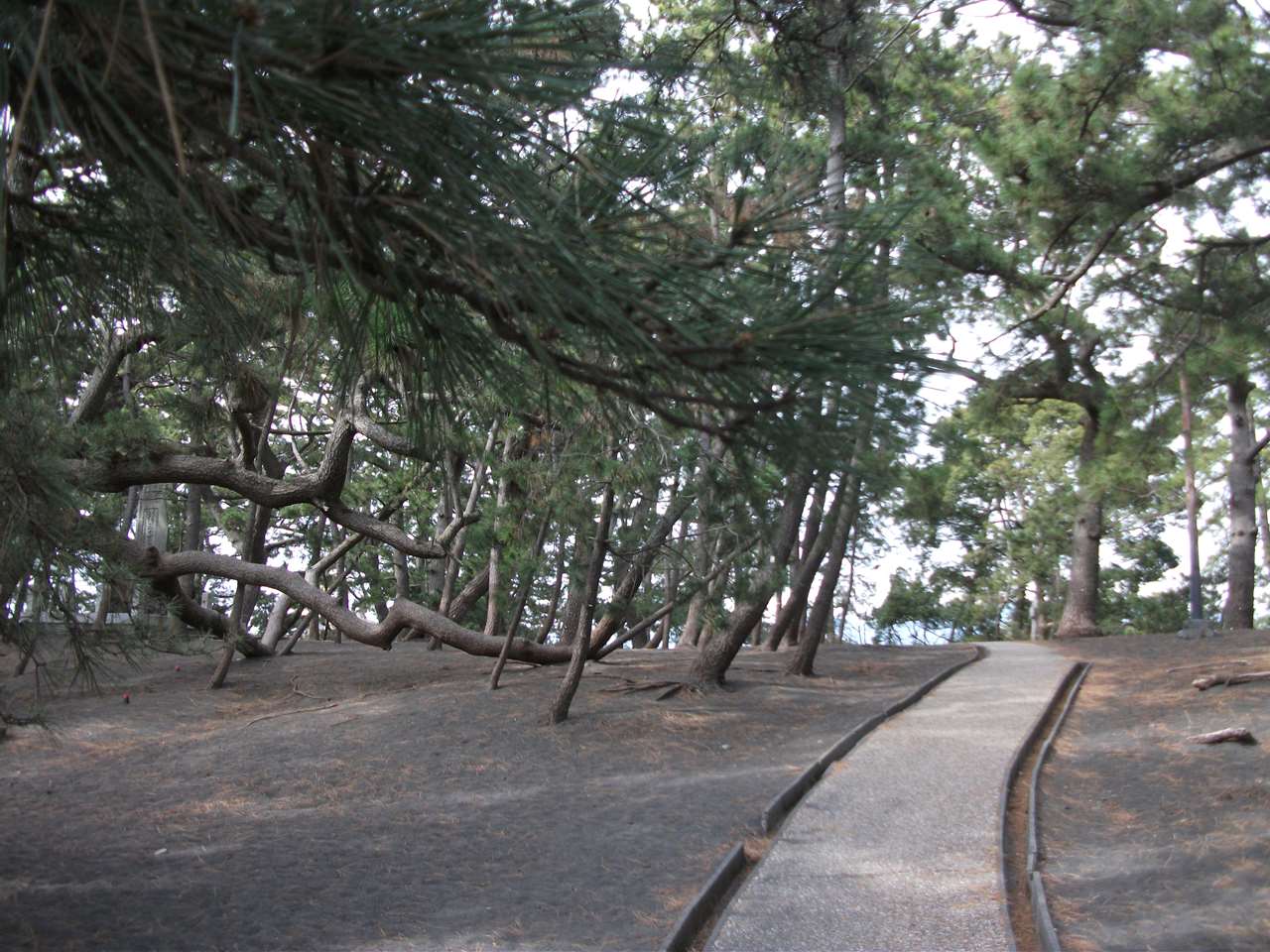 三保の松原