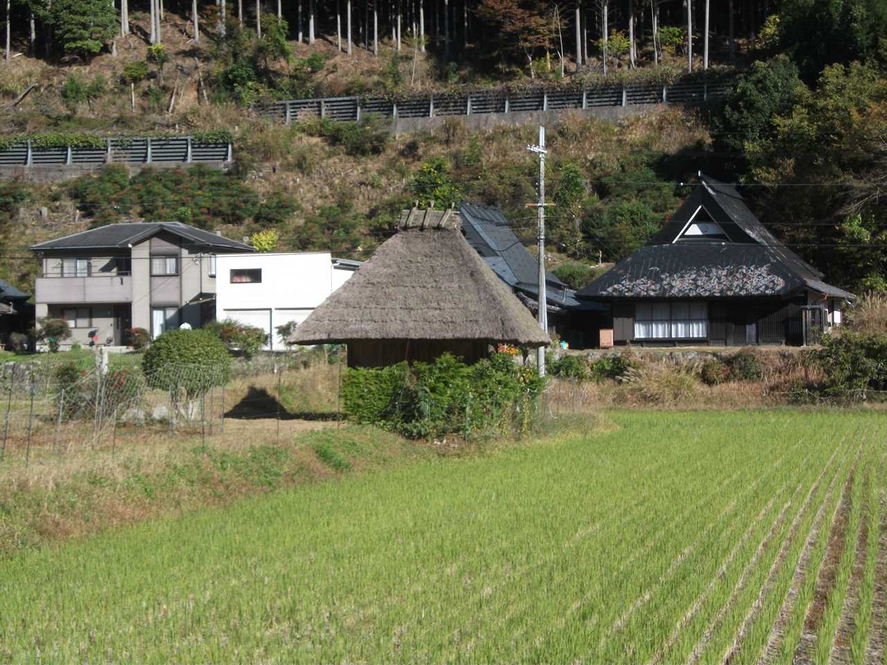 南丹市
