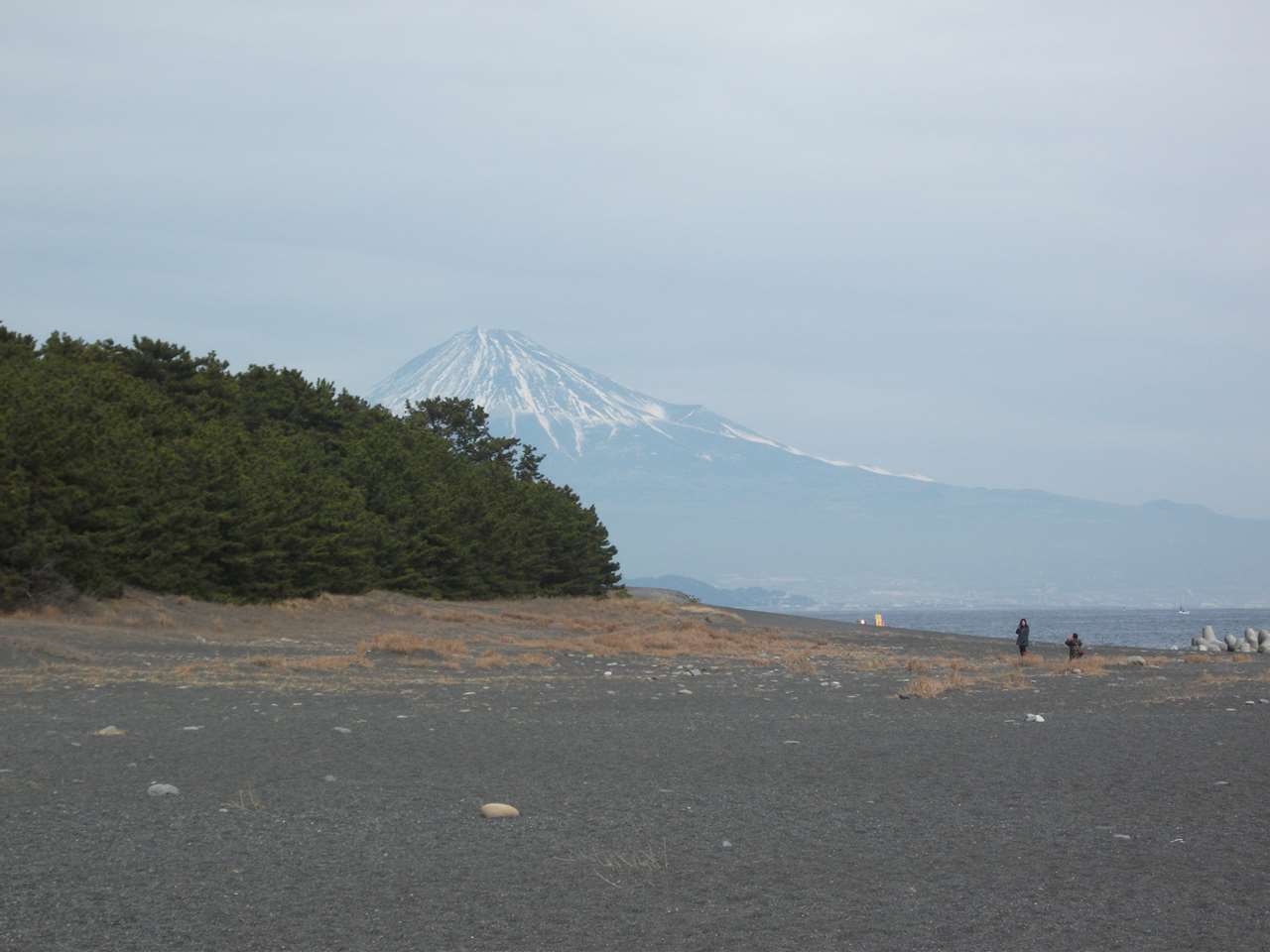 静岡市