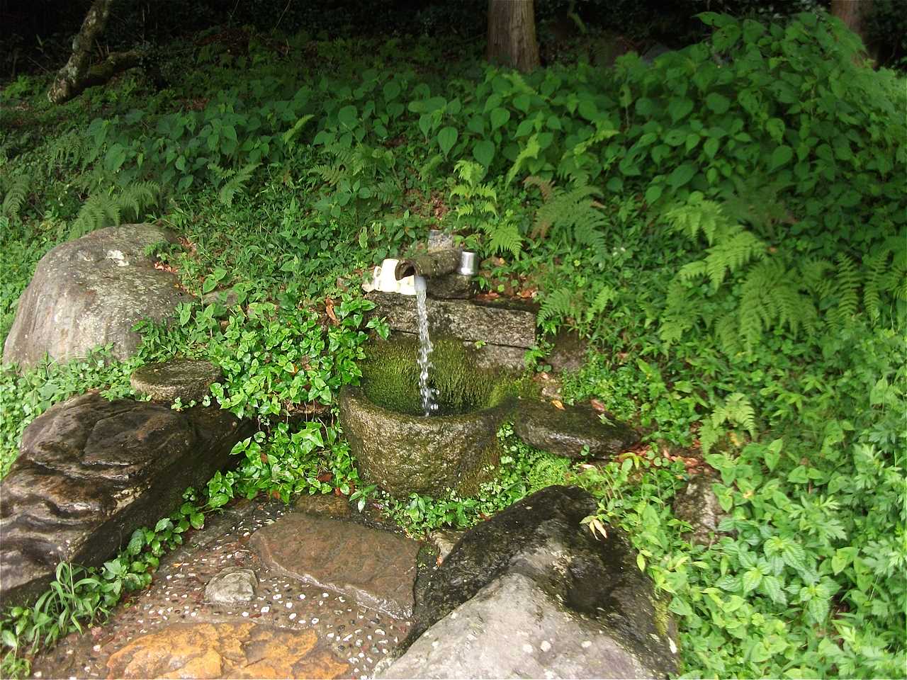 しゅうずの水